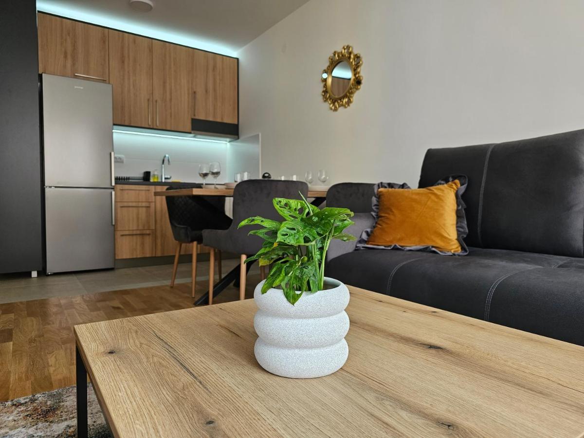 Sun&Moon Apartments Novi Sad Exterior foto